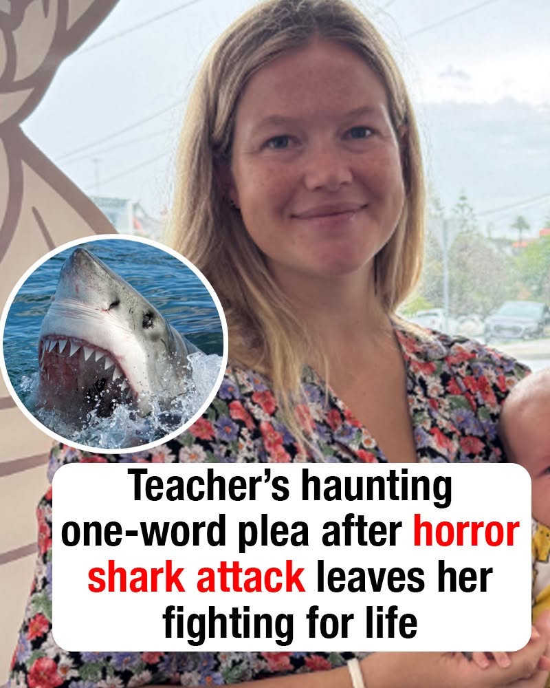 Teacher’s haunting one-word plea after horror shark attack leaves her fighting for life
