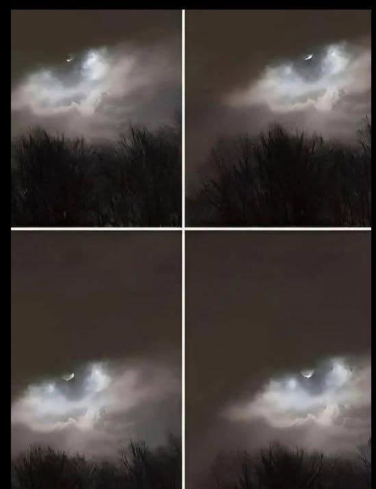 My Brother Took This Photo Just 21 km from Our Home—Can You Figure Out What It Is?