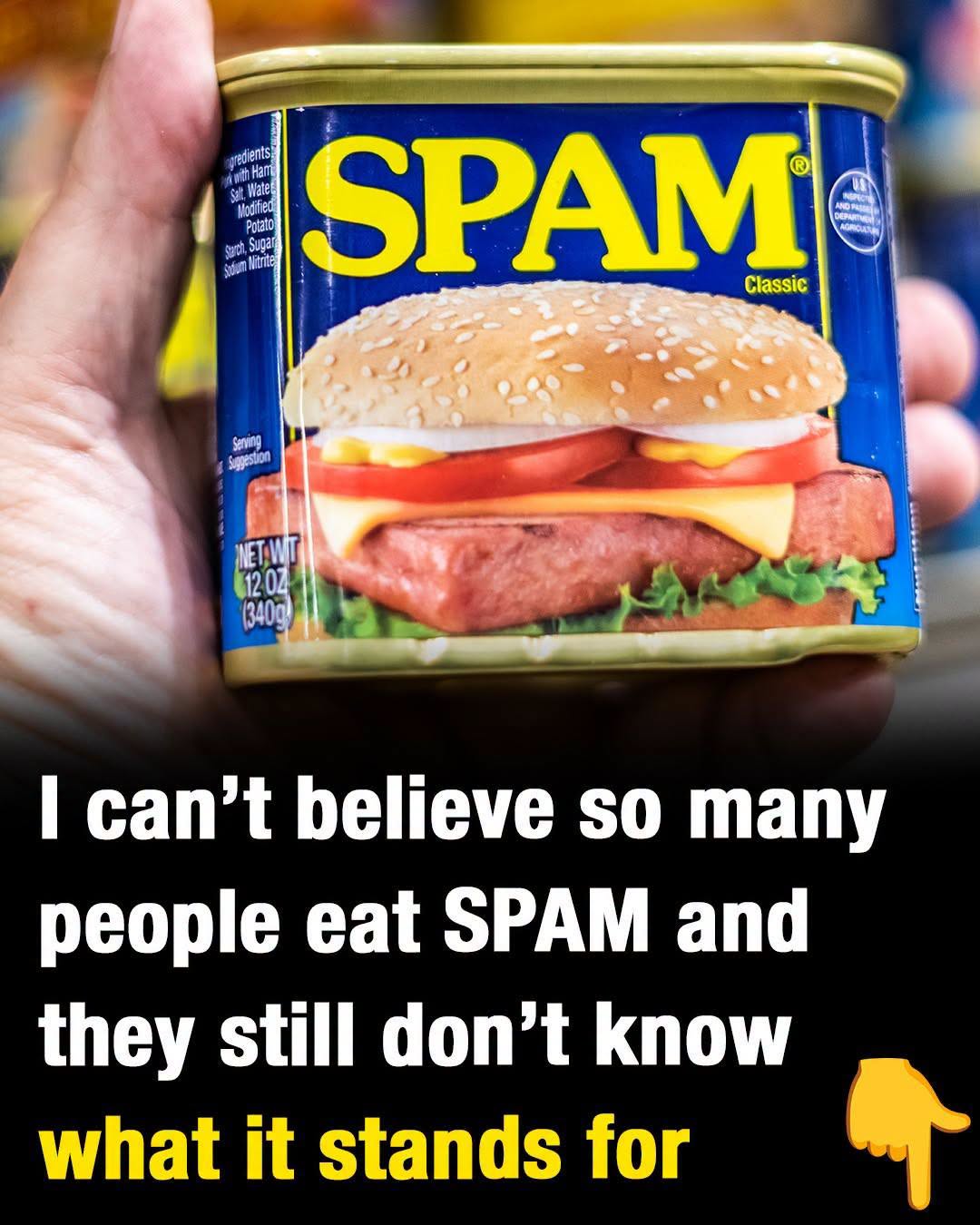 SPAM: What does it stand for, and what are its ingredients?