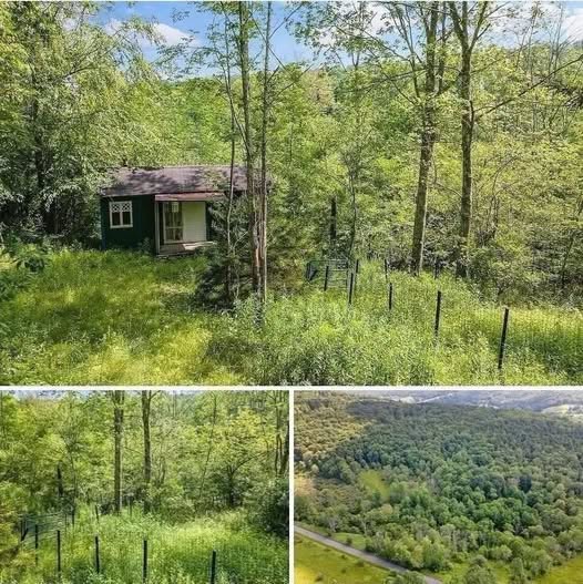 $19,000 No neighbors, no noise. Price cut: $6K…See More