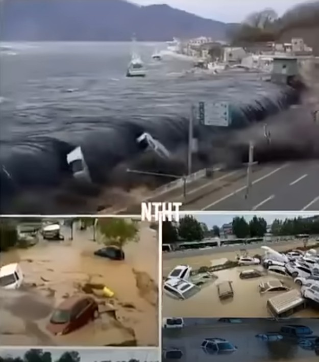 A 7.1 magnitude earthquake also caused a tsunami in the city of… See more