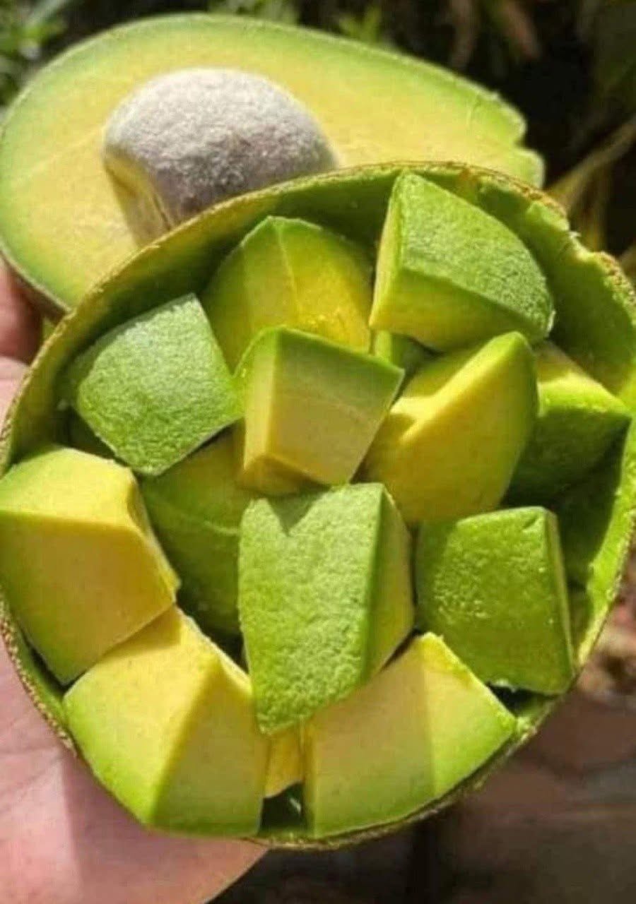 Unexpected Health Effects of Eating Avocados Revealed by Doctors