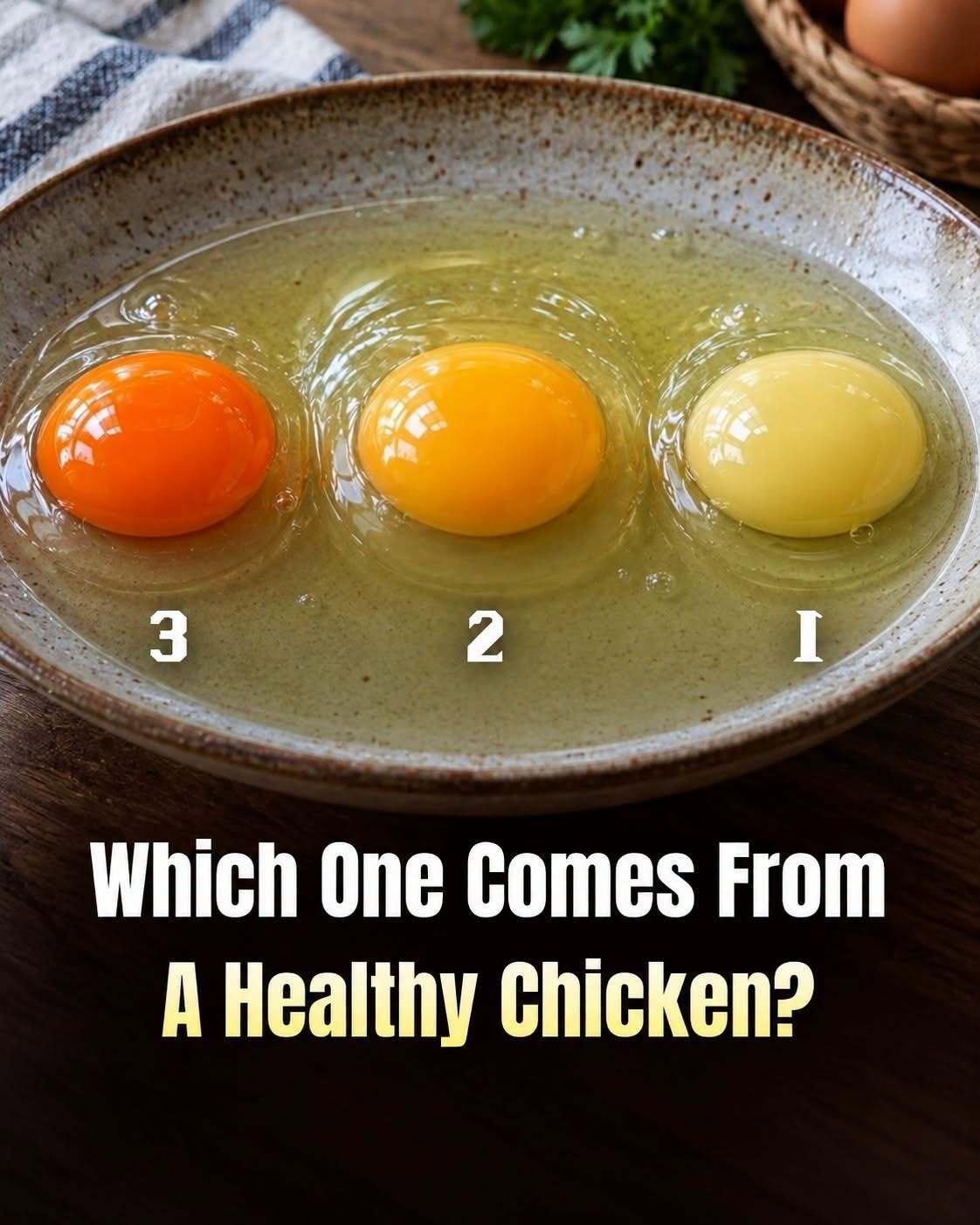 Which Egg Comes From a Healthy Chicken? The Truth Behind Yolk Colors
